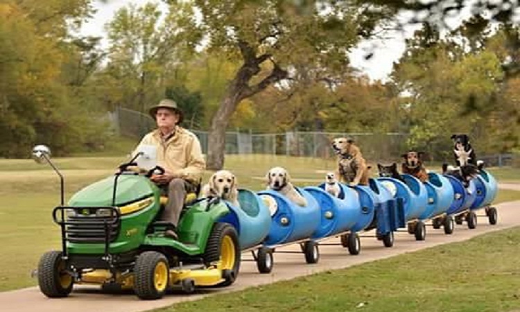 A sus 80 años, construyó un tren para pasear a perros rescatados de la calle