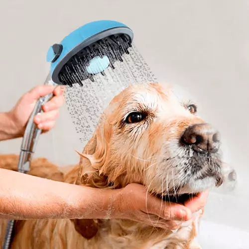 Baños y Grooming para mascotas